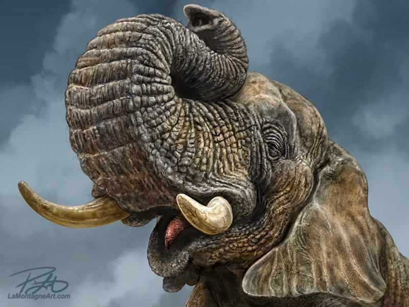 elephant paintings
