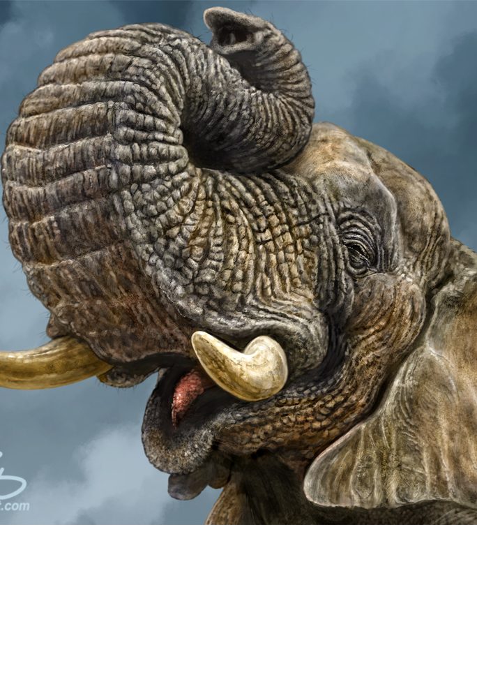 African Elephant - LaMontagne Art