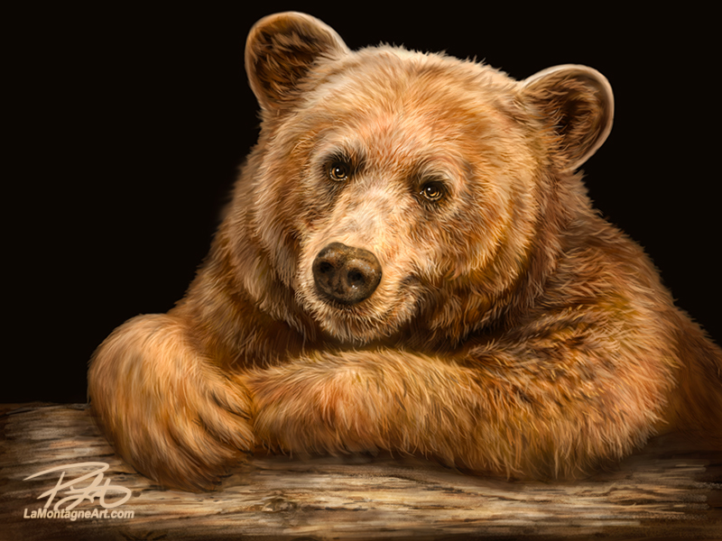 Grizzly Bear - Works in Progress - Blender Artists Community